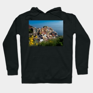 View on the cliff town of Manarola, one of the colorful Cinque Terre on the Italian west coast Hoodie